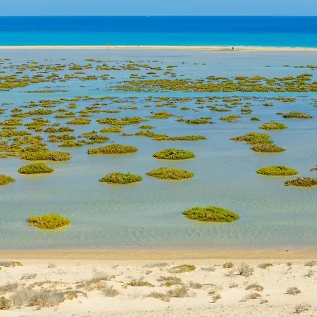 Lenni * コスタ・カルマ